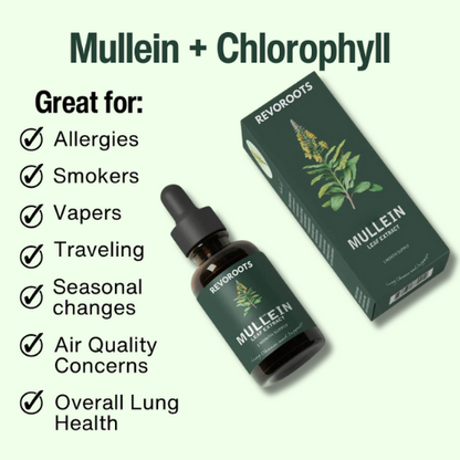 REVOROOTS Mullein + Chlorophyll