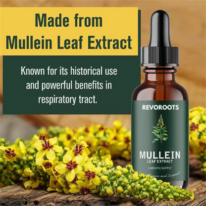 REVOROOTS Mullein + Chlorophyll